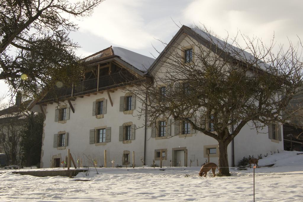 La Ferme De La Praz B&B Exterior foto